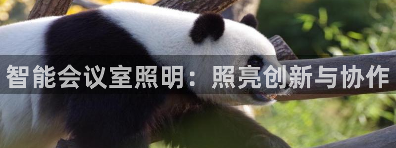 云顶国际停车费怎么收