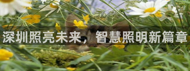 云顶国际服s11什么时候上线