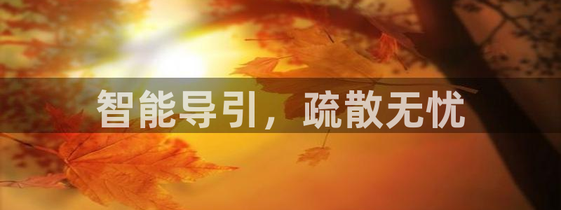 云顶国际晟荣协会高峰