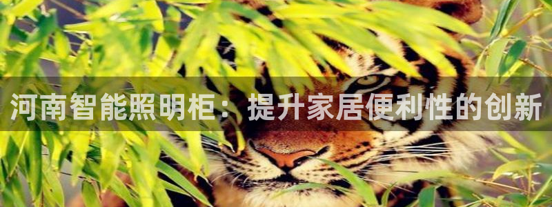 云顶国际服更新公告