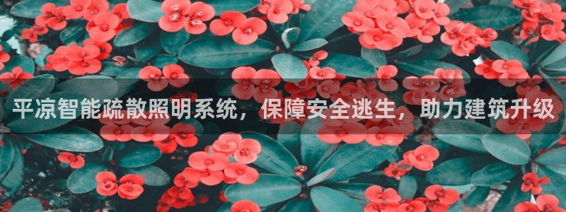云顶国际酒店老板