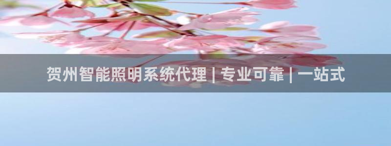 云顶集团官网登录入口网页版