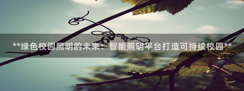 云顶集团游戏app8293