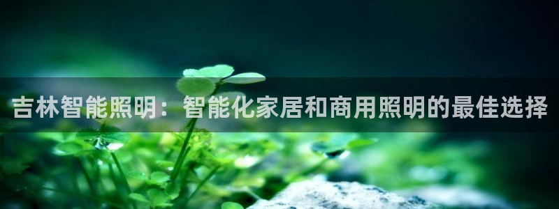 云顶国际公馆产权年限