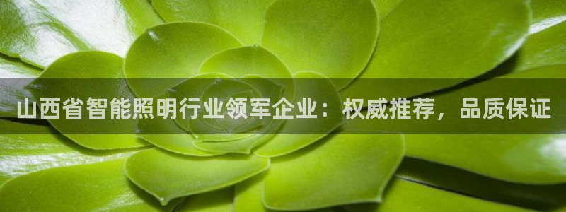 云顶手游国际