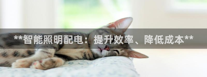云顶app官网
