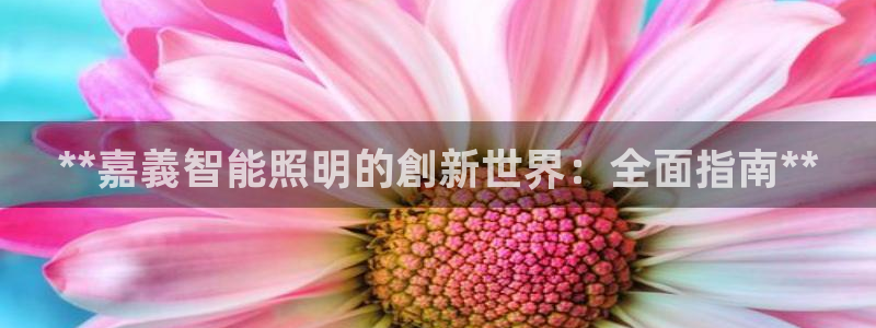 云顶国际装饰设计招聘