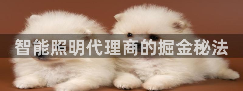 云顶国际提现不到账怎么办