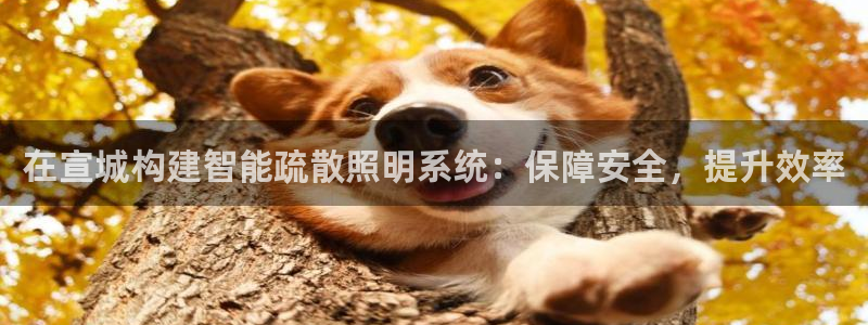 云顶国际公馆户型图