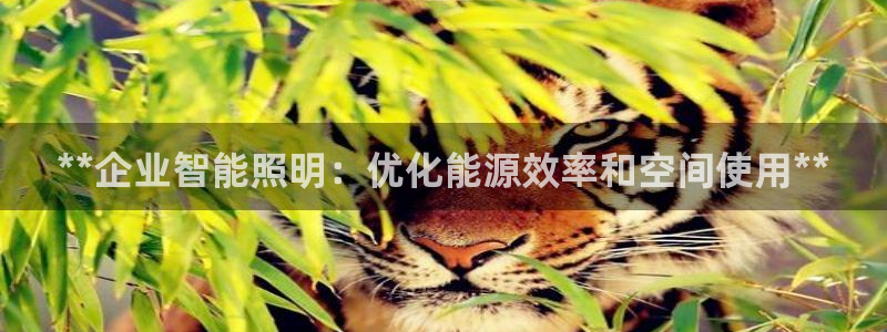 云顶国际集团io