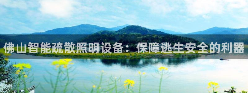 中国云顶集团