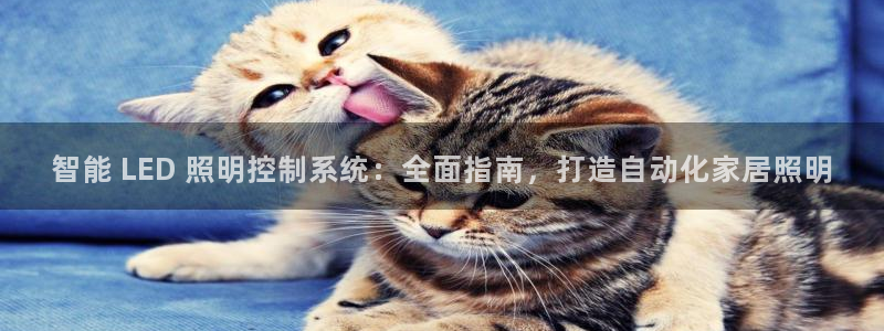 云顶国际装饰设计怎么样
