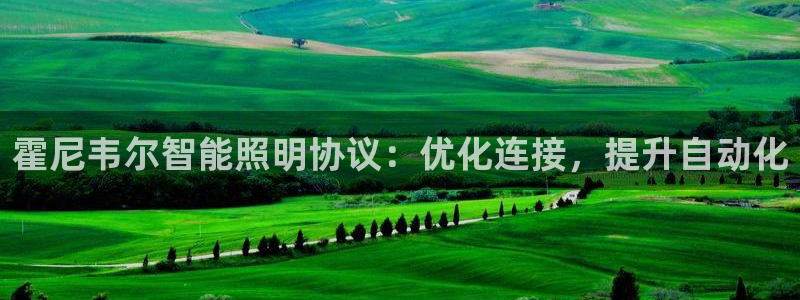 云顶国际服s10什么时候更新