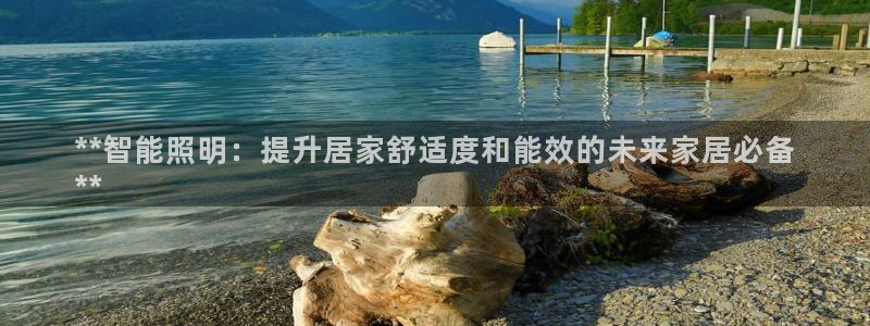云顶国际集团发展有限公司