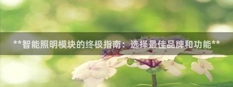 云顶国际旅行社