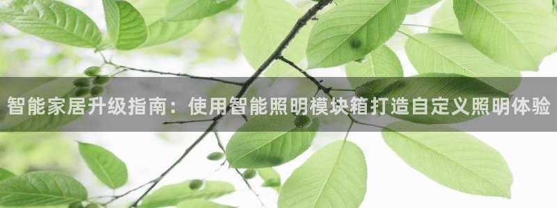 云顶国际手机app下载