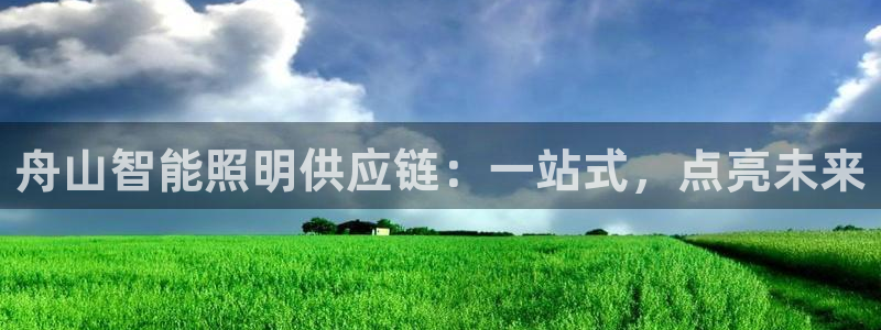 云顶国际服s9