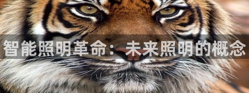 云顶集团是真实的吗