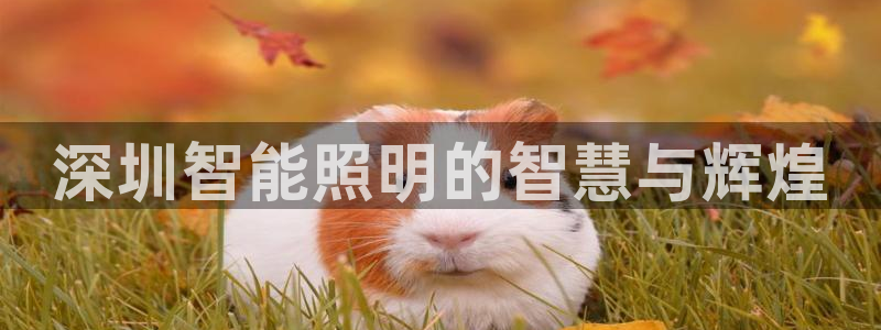云顶集团简介概况