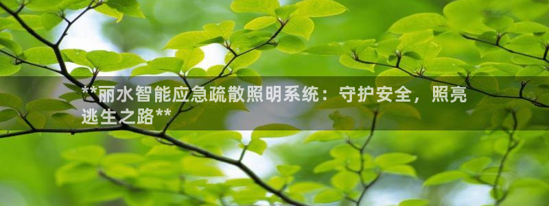云顶线路检测 官方网站