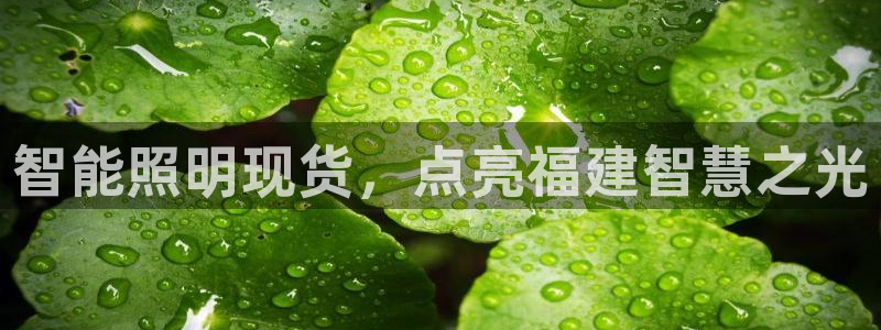 云顶国际app怎么样好用吗