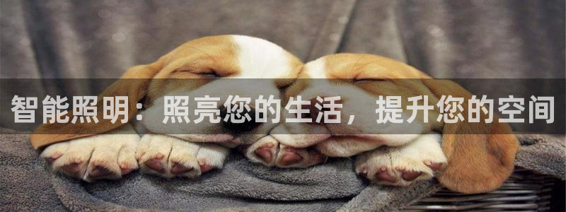 云顶国际商业广场 可以停车吗