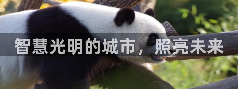 云顶国际装饰设计怎么样