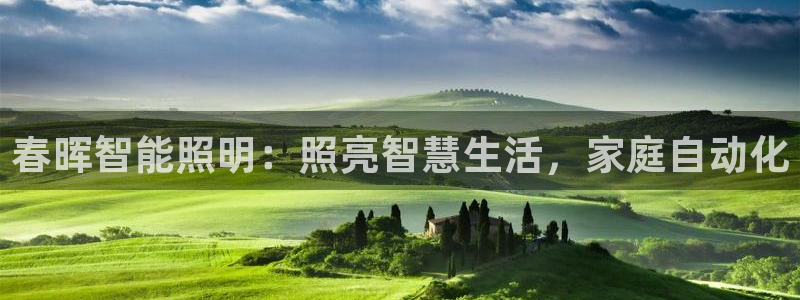 云顶集团有限公司简介图片
