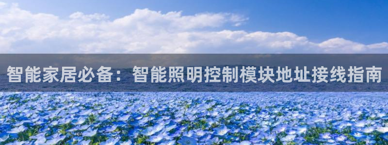 云顶国际地址