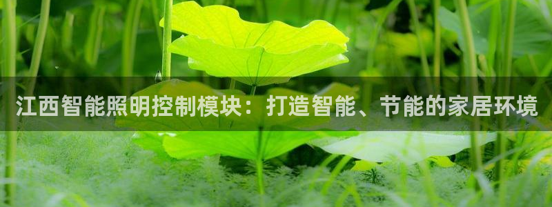 云顶国际服怎么选服务器