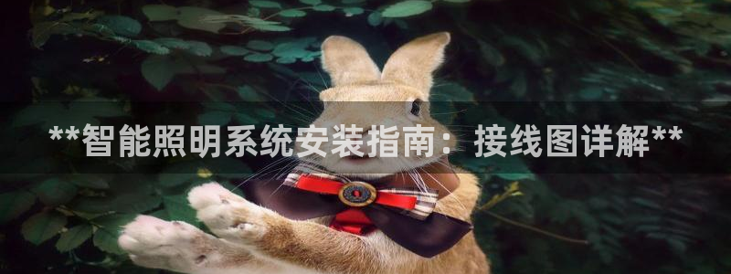 云顶国际服官网