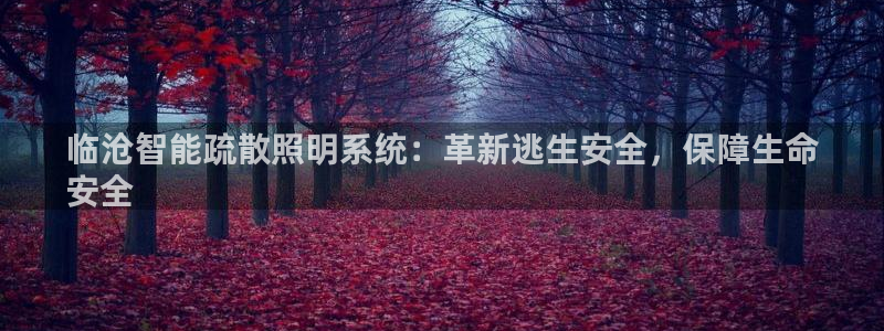 云顶国际林梧桐
