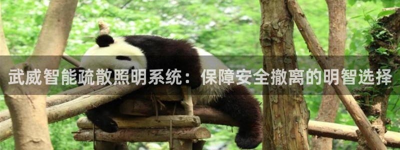 云顶国际平台为什么提现不了微信
