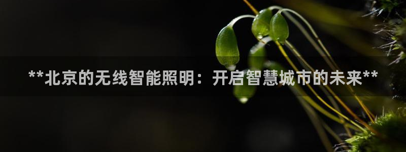 云顶国际服mac汉化