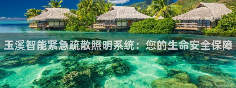 云顶国际平台是黑平台吗知乎