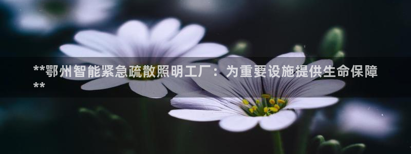 云顶国际宴会中心怎么样