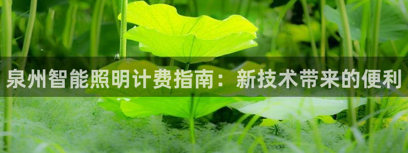 云顶国际商业广场a座101室