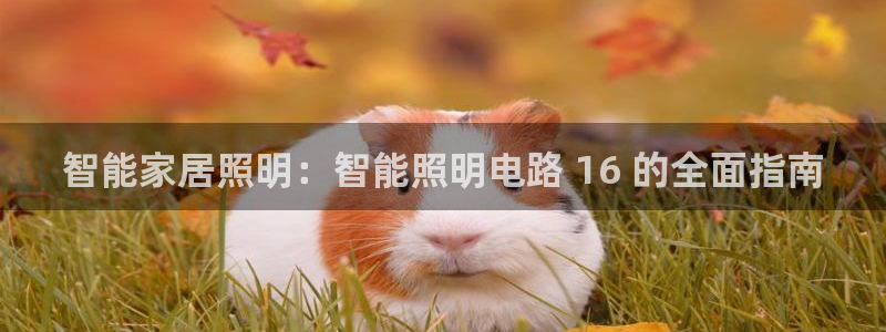 云顶国际app下载安装