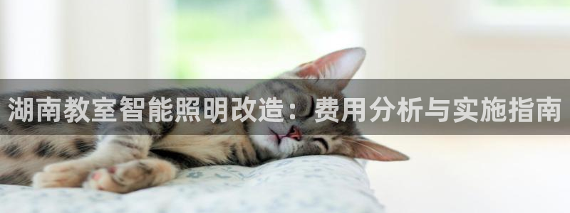云顶国际集团发展有限公司国内项目总经理