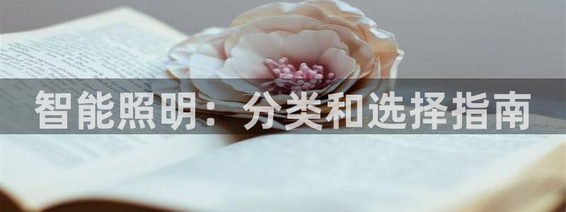 云顶国际中国官方网站下载