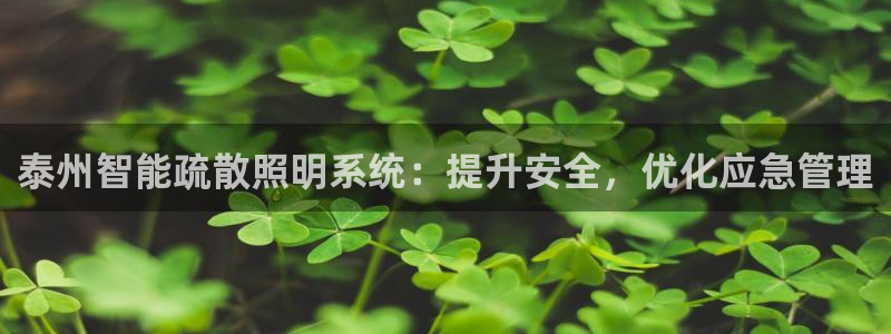 云顶国际服什么时候更新s115