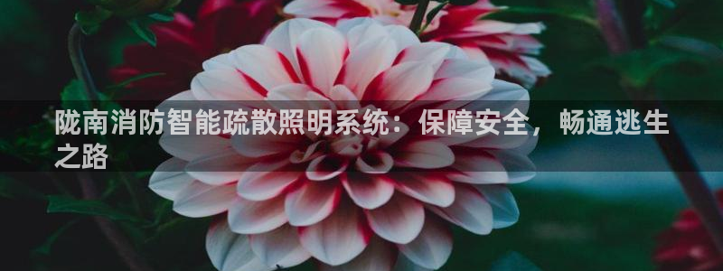 云顶国际在哪里