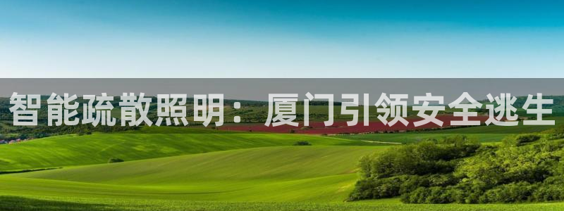 云顶t00