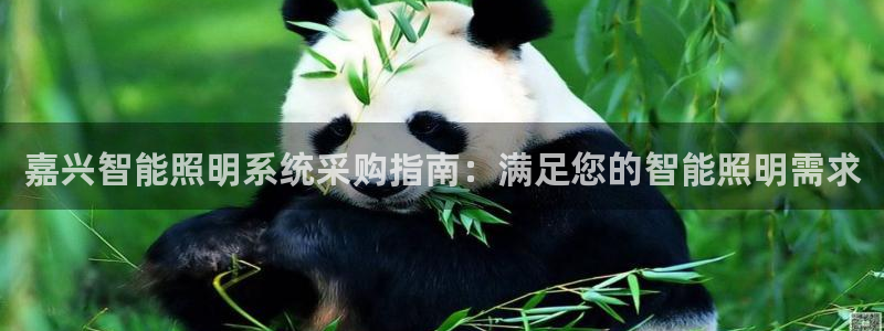 云顶国际集团官网首页