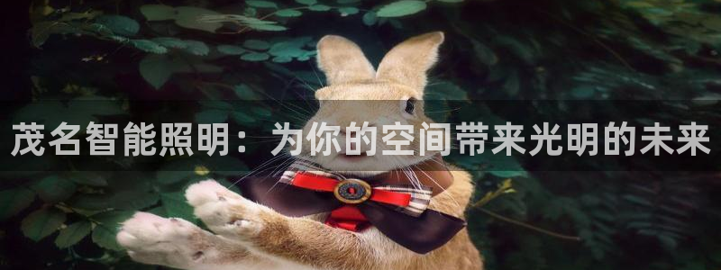 云顶国际官网官方下载