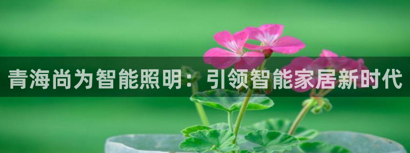 云顶国际酒店老板