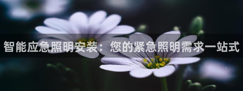2418云顶