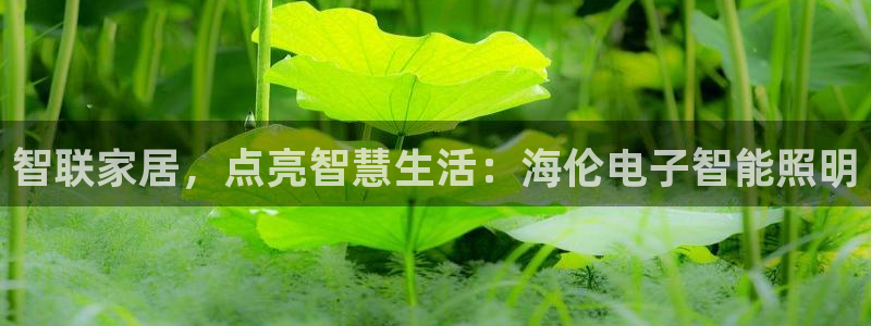 云顶国际yd222线路检测中心