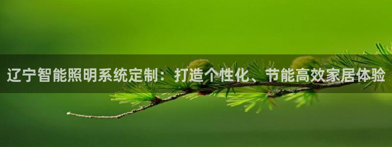 云顶国际服服务端错误