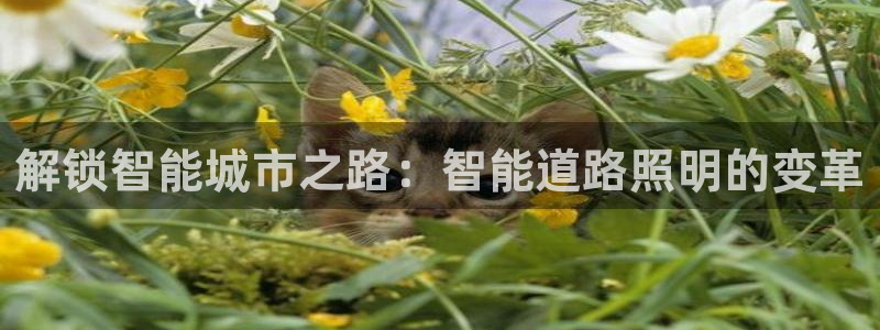yd2333云顶